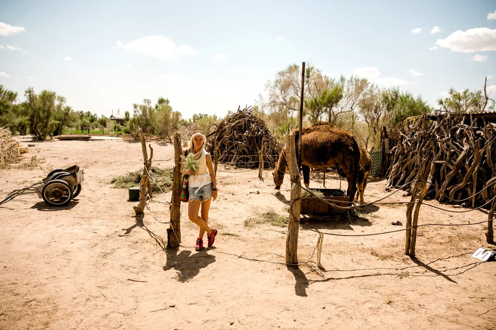 Bokurdak – Desert Village Experience